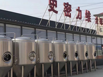 灵璧精酿啤酒设备厂—如何判断精酿啤酒设备的密封件需要更换？